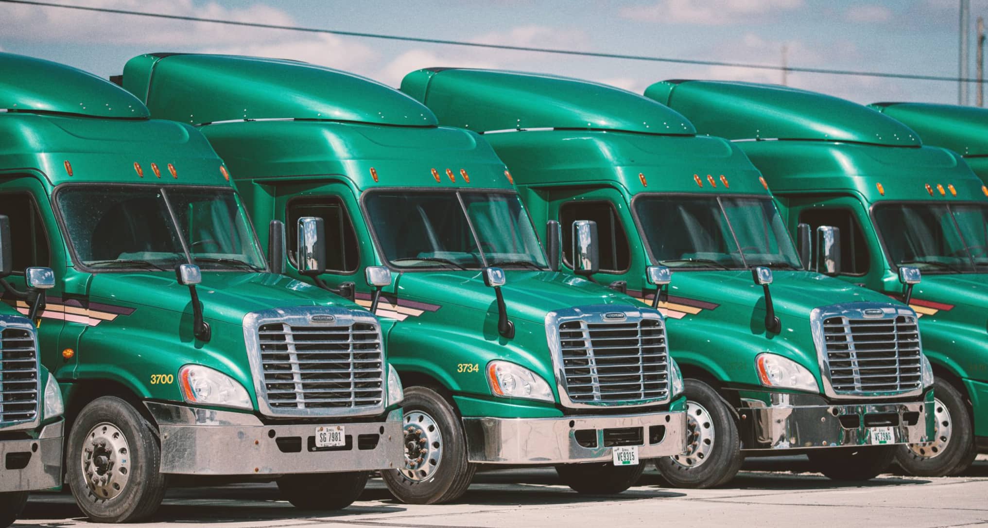 Row of green semi rigs