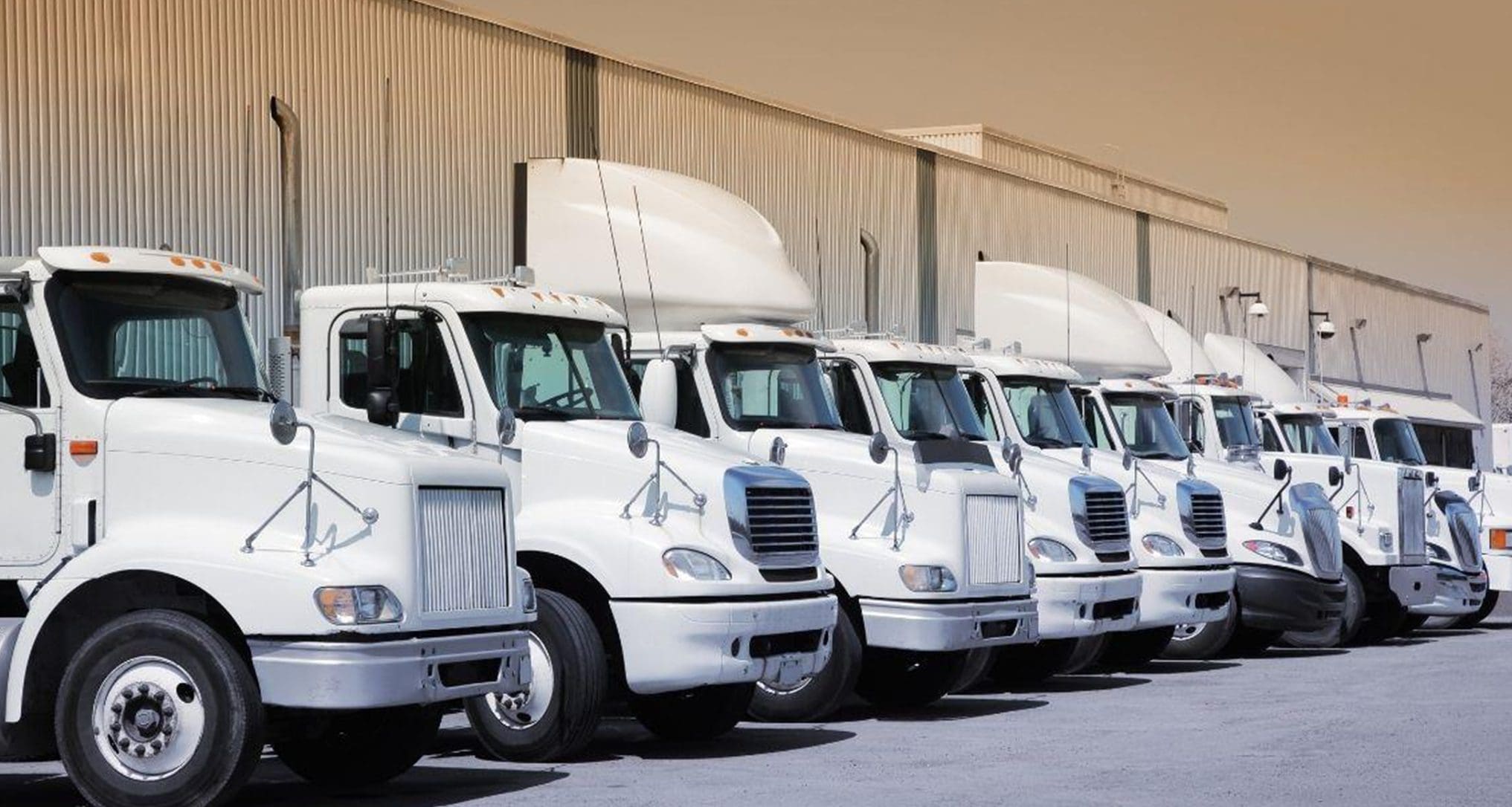 semi trucks lined up for service