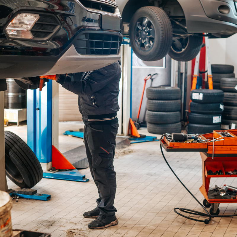 tech working on cars on lifts
