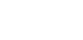 triad white logo